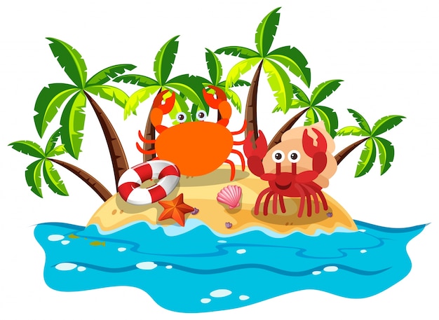 Crabs live on island