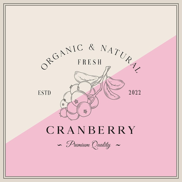 Cranberry Ripe berries Template for product label cosmetic packaging Easy to edit Graphic drawing engraving style Vector illustration