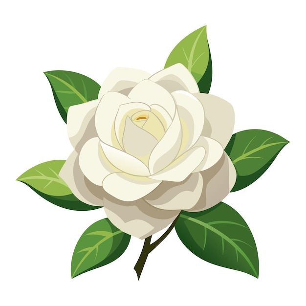 A creamy white gardenia with delicate petal