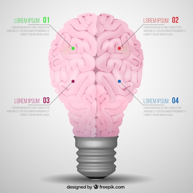 Vector creative brain infographic