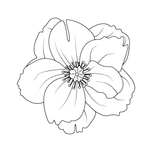 Creative Floral Hand Drawn Flower Line Art Design