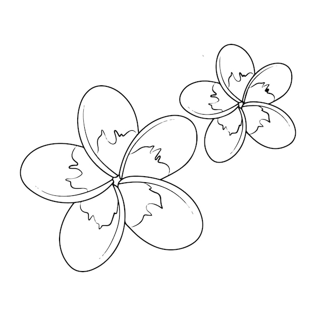 Creative Floral Hand Drawn Flower Line Art Design