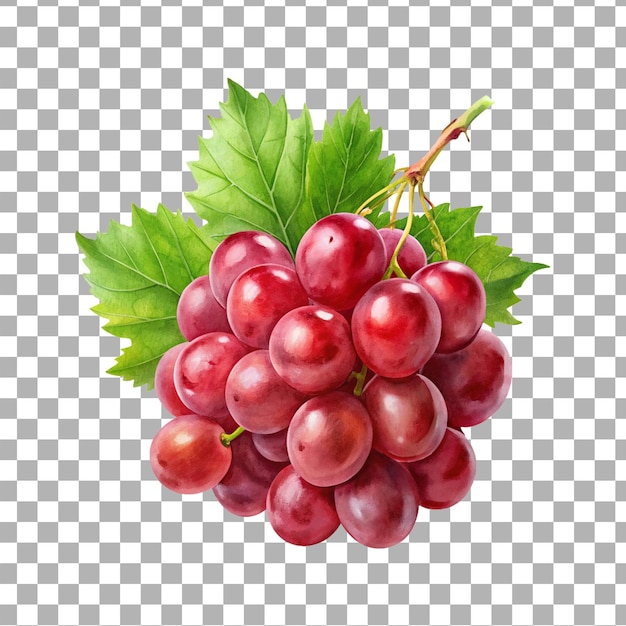 creative grape png design