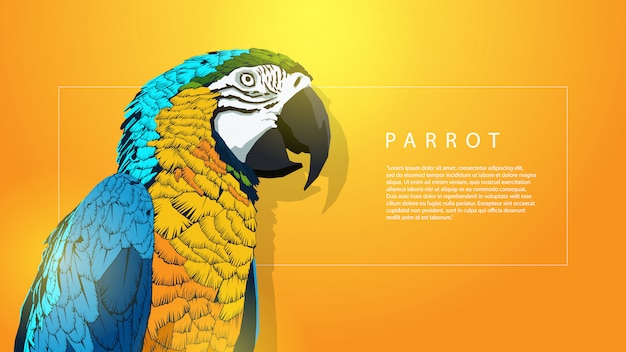 creative parrot bird banner background