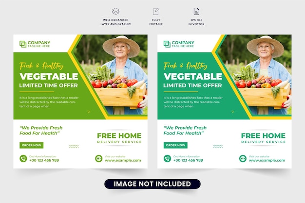 Creative vegetable business promotion poster template with green and yellow colors Vegetarian restaurant advertisement poster design for social media marketing Organic food social media post vector