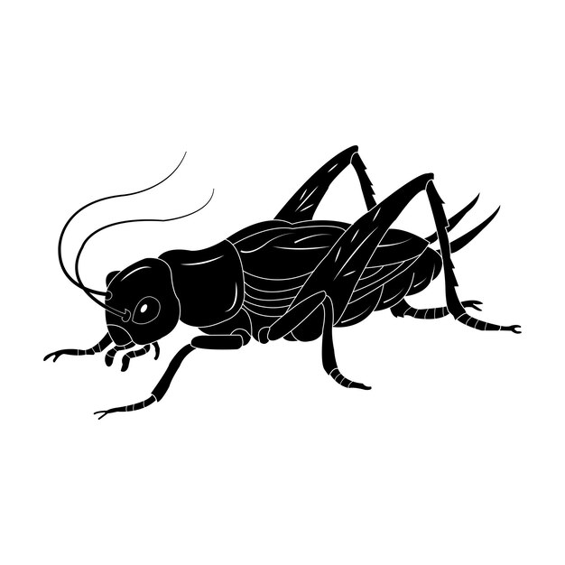 Vector cricket vector icon