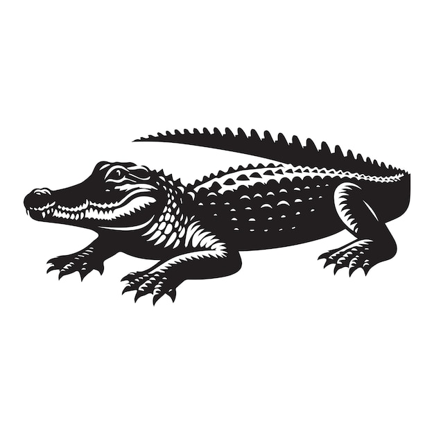 a crocodile lying in a flat vector illustration in black and white