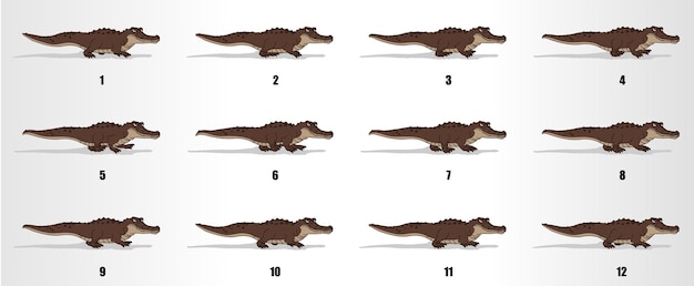 Vector crocodile walk cycle animation frames loop animation sequence sprite sheet