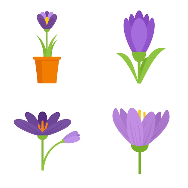 Crocus icons set