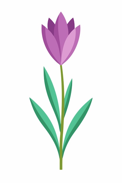 Crocus plant minimal design vector illustration