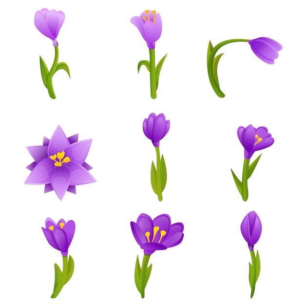 Crocus  set, cartoon style