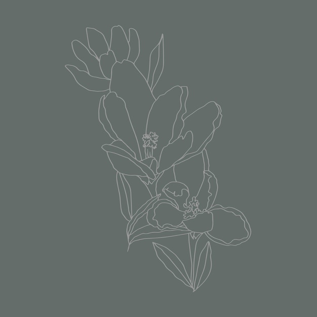 Crocuses line art buds flowers with leaves 3 pieces black and white vector botanical illustration hand drawing sketch