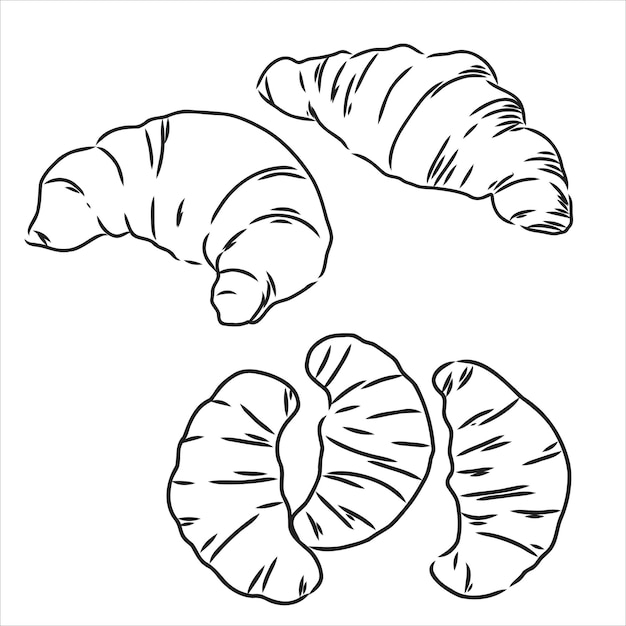 Croissant Doodle, a hand drawn vector doodle illustration of a Croissant. croissants vector sketch