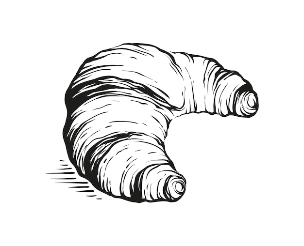 Croissant hand-drawn drawing crispy engraving retro style on white background