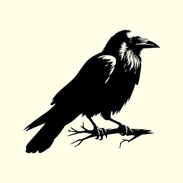 Vector crow bird silhouette vector design in black editable with transparent background