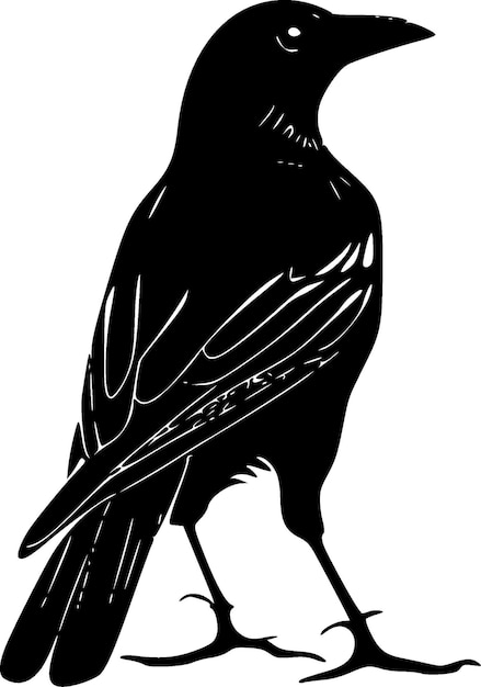 Crow Black and White Vector illustration