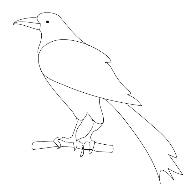 Crow drawing in one continuous line isolated vector single line