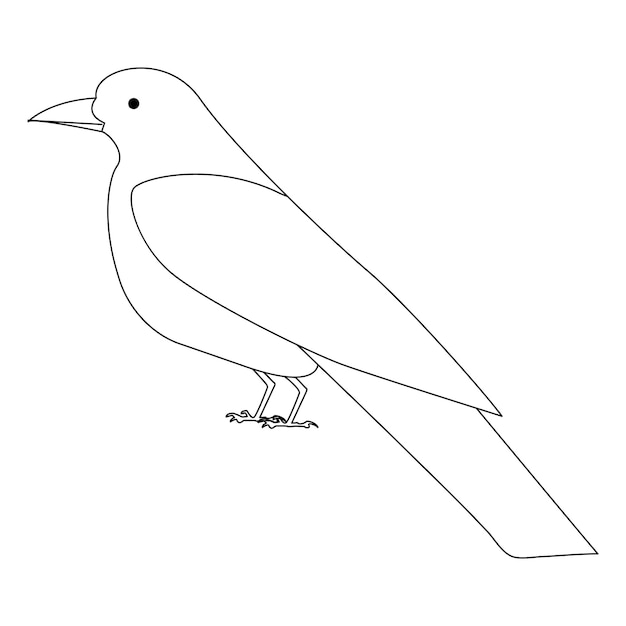 Crow drawing in one continuous line isolated vector single line