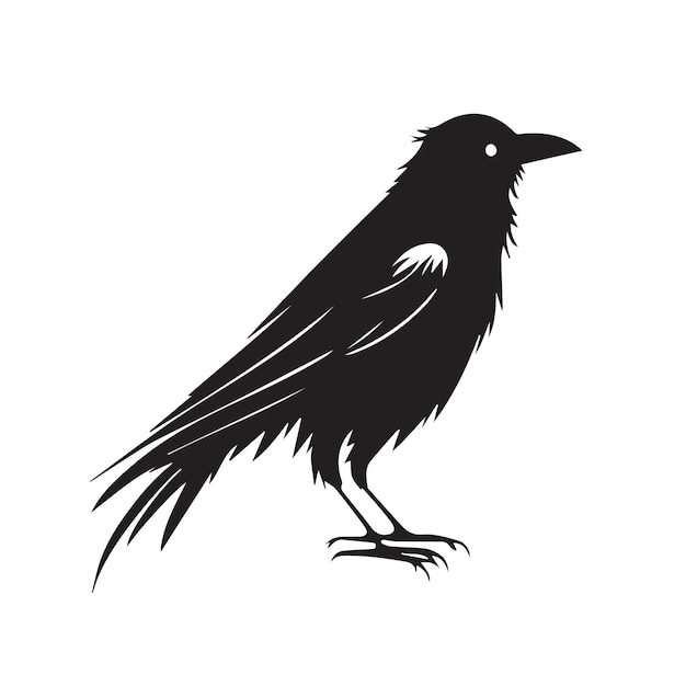 Crow minimal black and white vector illustration icon Black bird with feathers and dark beak