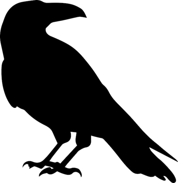 Crow vector silhouette illustration 15