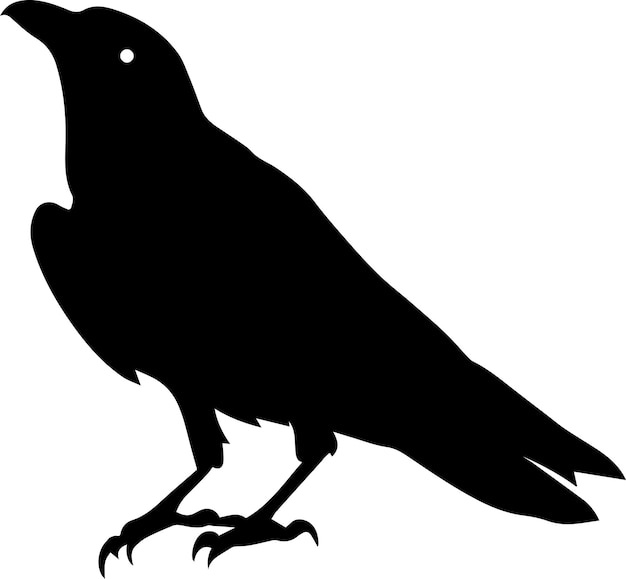 Crow vector silhouette illustration 7