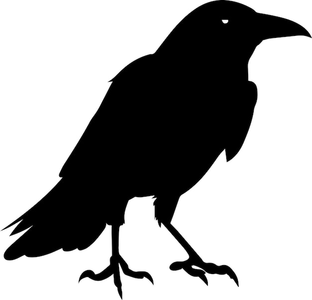 Crow vector silhouette