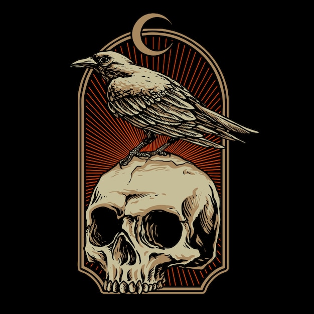 Crow with skull   illustration