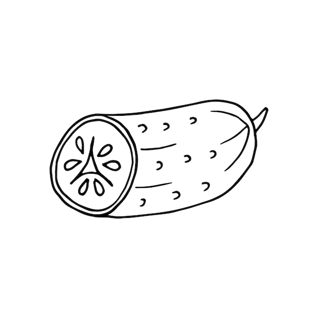 Cucumber in doodle style