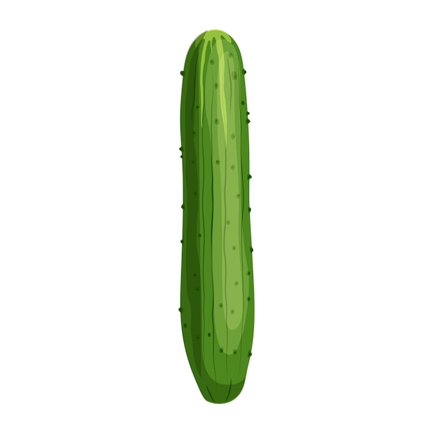 Cucumber food cartoon vector illustration