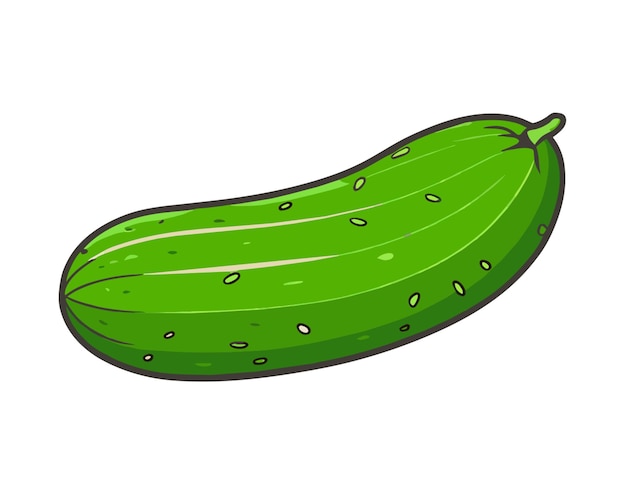 cucumber hand drawn simple color vector illustration