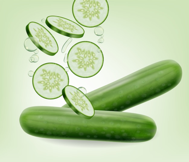 Cucumber illustration