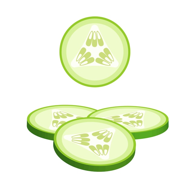 Vector cucumber slices for burger or sandwich illustration of food for shops illustration of food for shops and markets