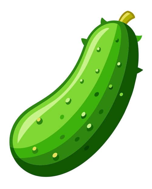 cucumber vector illustration