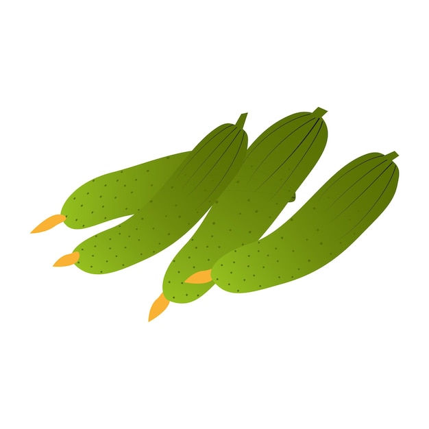 Cucumber vector isolated flat design on white background