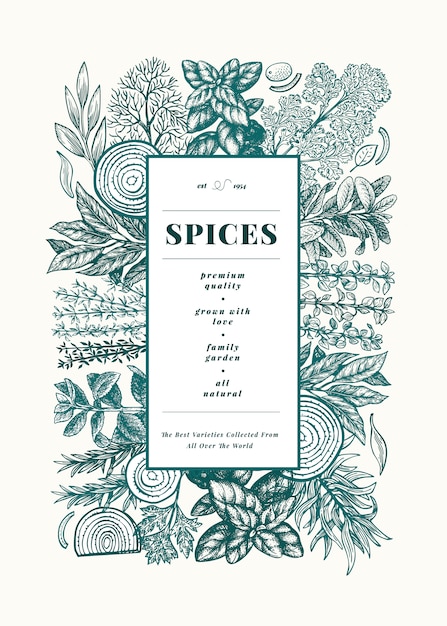 Culinary herbs and spices menu frame template