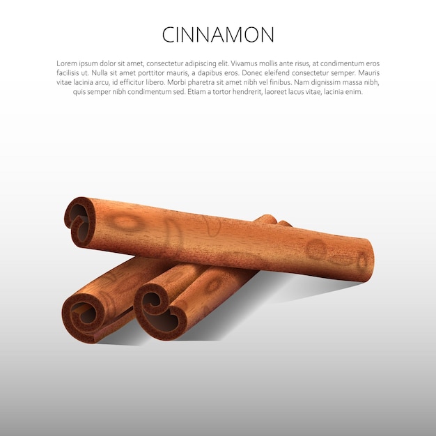 Culinary spices Cinnamon Abstract vector illustration