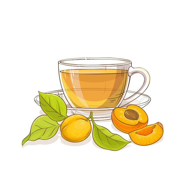 cup of apricot tea illustration on white background