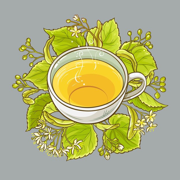 Vector cup of linden tea