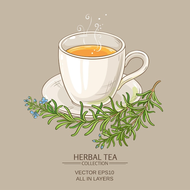 Cup of rosemary tea