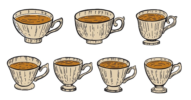 Cup of tea Hand drawn illustrations