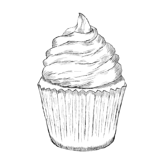 Cupcake hand drawn sketch vector