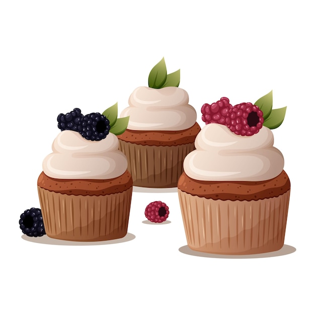 Vector cupcakes with raspberries blackberries leaf decor whipped cream homemade pastry