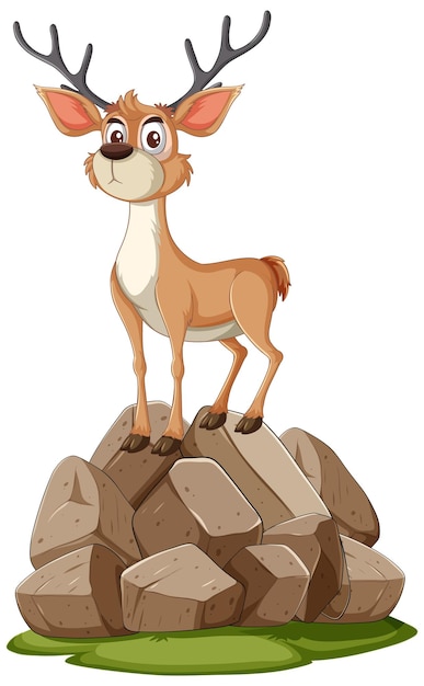 Curious Deer on a Rocky Outcrop