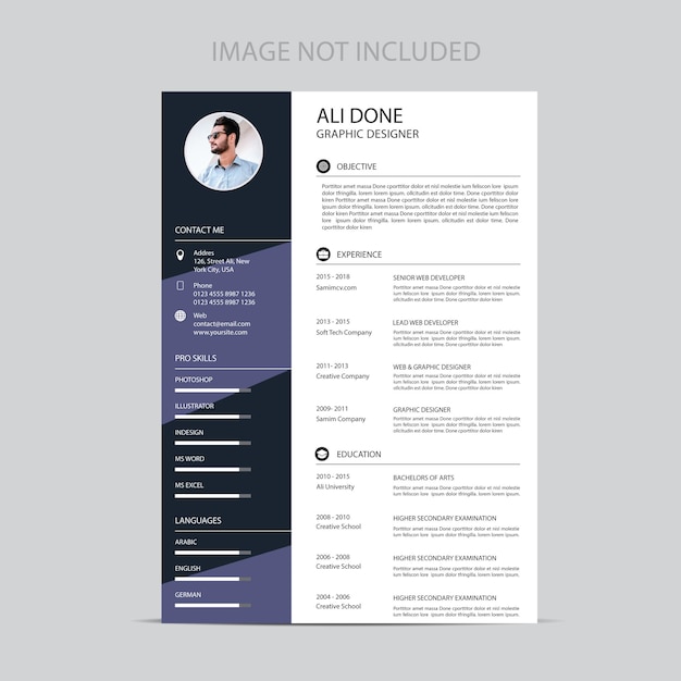 curriculum vitae template