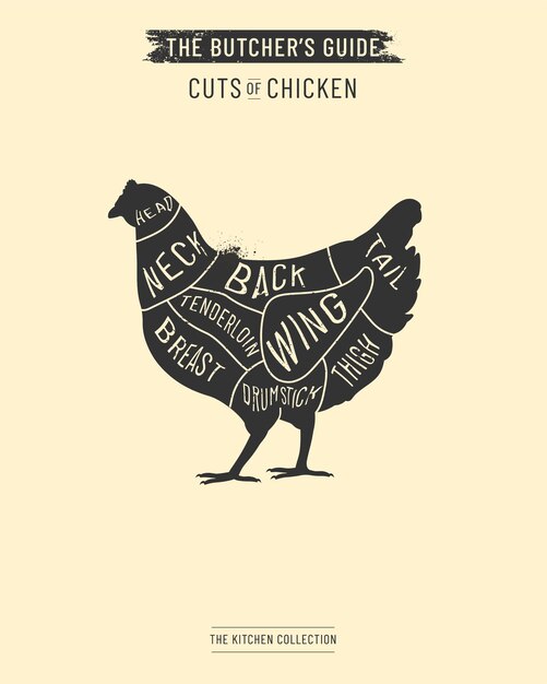 Vector cut of chicken meat set poster butcher diagram scheme and guide handdrawn illustration