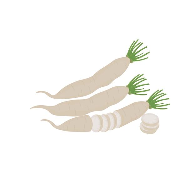 Cut Daikon Radish Vegetable Illustration Logo