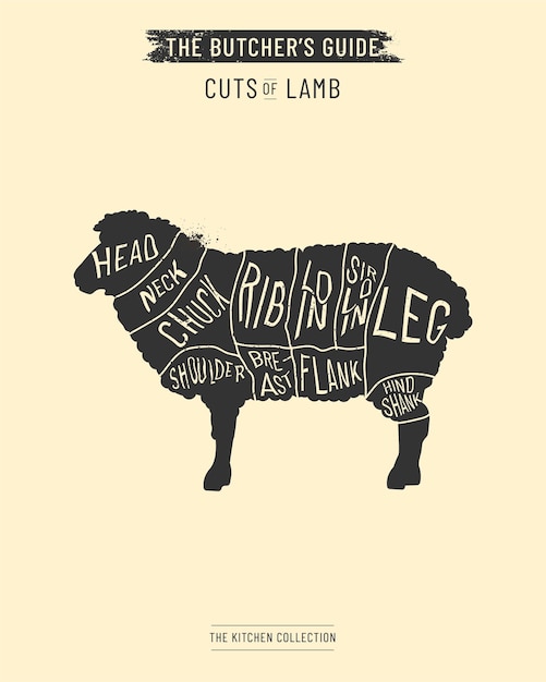 Cut of Lamb meat set Poster Butcher diagram scheme and guide handdrawn Illustration