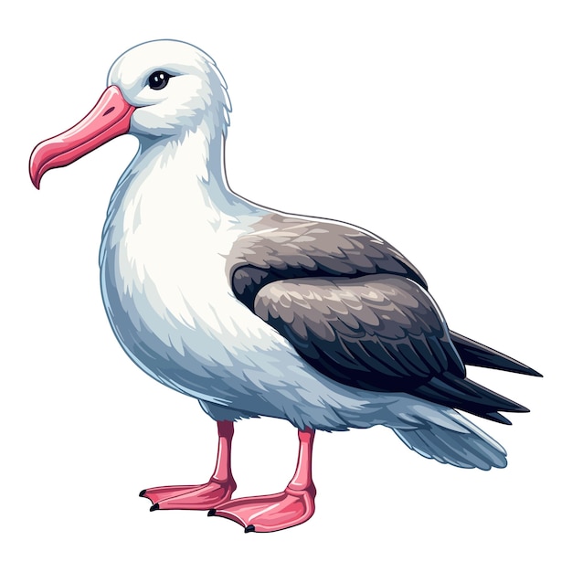 Cute Albatross Vector Cartoon illustration