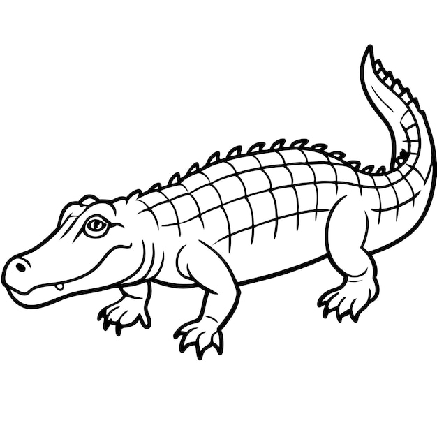 Vector cute alligator animal cartoon style vector illustration in highquality line art on a white backgrou