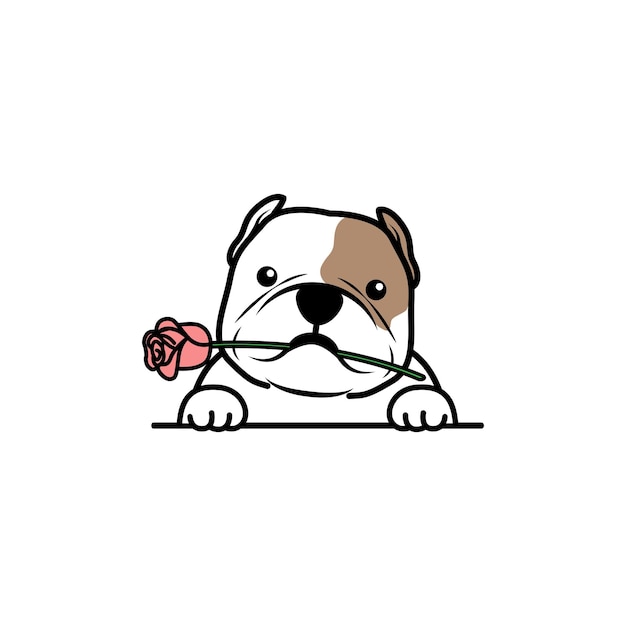 Cute american bully dog holding a rose in mouth cartoon, vector illustration